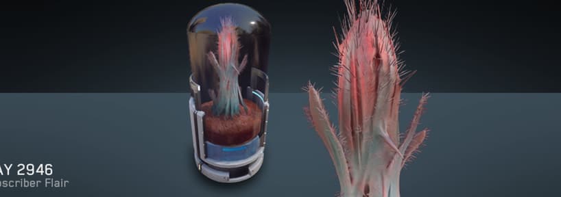 Space Cactus - Kavische